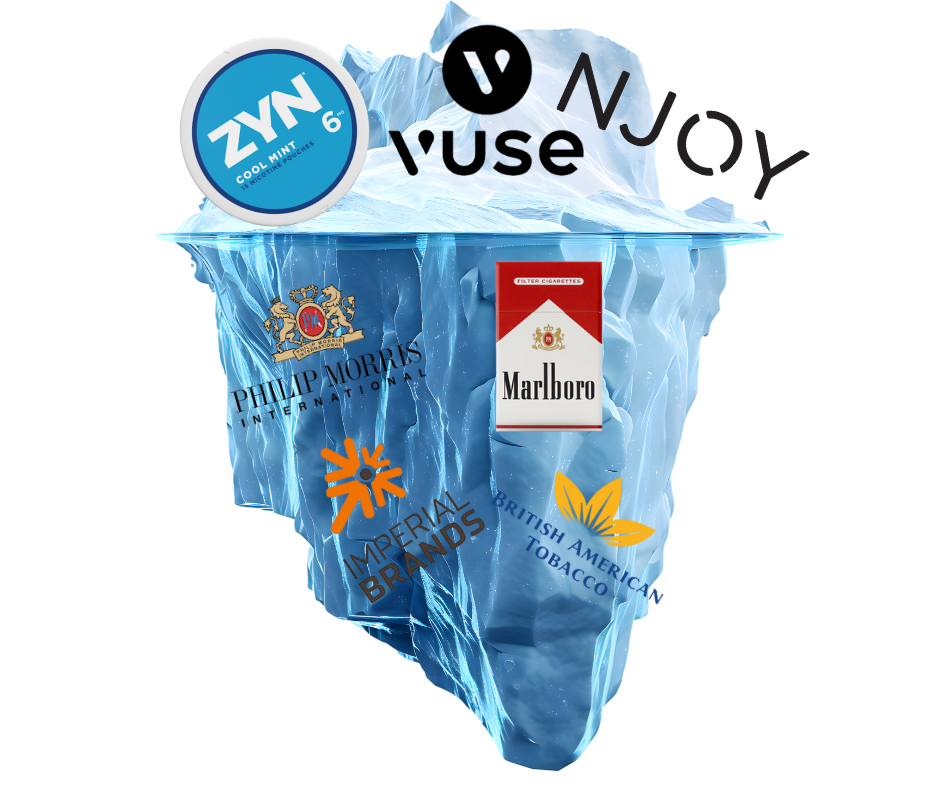 Bottom iceberg companies wish to be hidden.